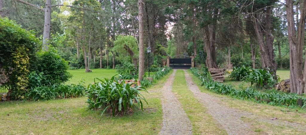 WhatsApp Image 2026-01-23 at 12.31.27 (1)