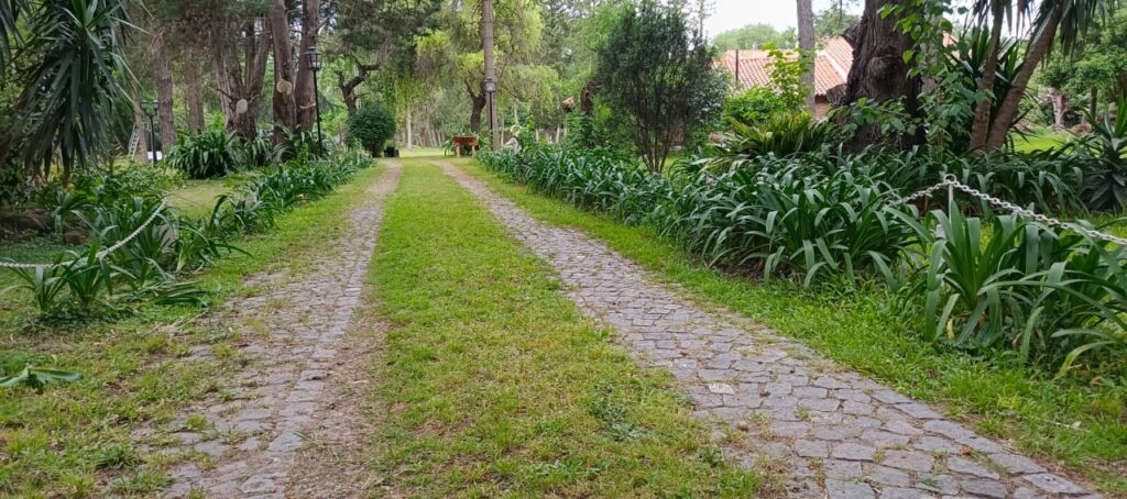 WhatsApp Image 2026-01-23 at 12.31.27 (3)