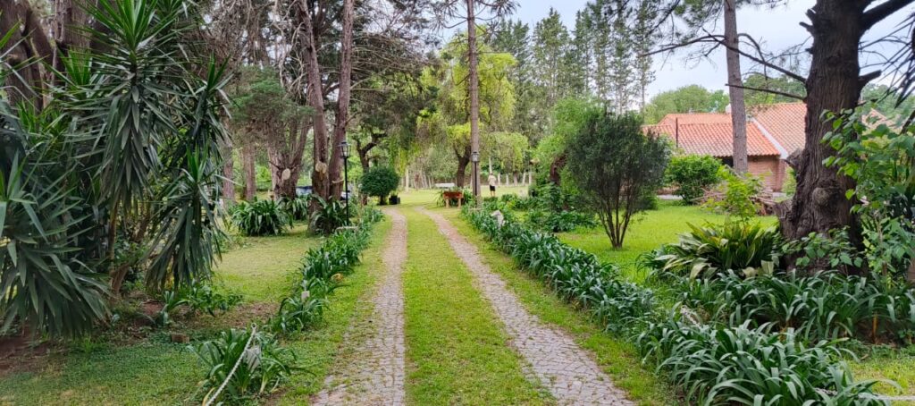 WhatsApp Image 2026-01-23 at 12.31.27 (4)